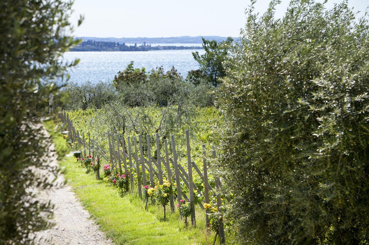 Villa Agrigturismo Monte Cicogna Moniga del Garda Exterior foto